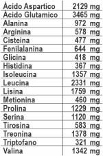 Whein Protein - Sabor Baunilha - 900g - Imagem 3